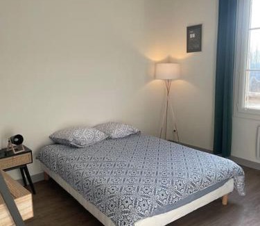 Bourges Appartement | T2 4 pers face gare SNCF Appart Hotel le Cygne 3
