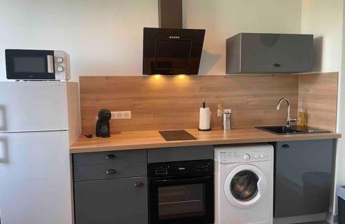 Bourges Appartement | T2 4 pers face gare SNCF Appart Hotel le Cygne 4