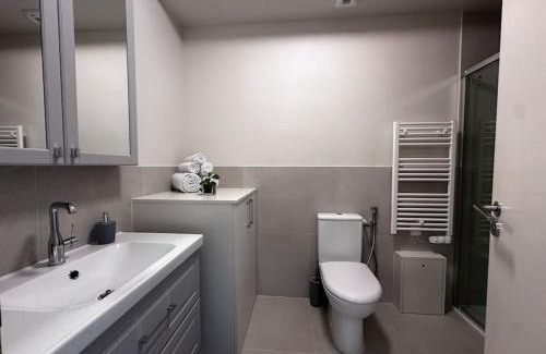 12th Arrondissement Appartement | T2 balcon 3 mn à pied métro8 et T3