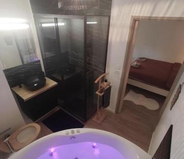 ZAC Andromede Appartement | T2 balnéothérapie, jardin, parking, tram, boulodrome