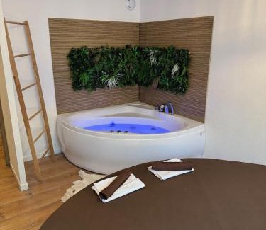 Tournefeuille Appartement | T2, Balneo, sauna, lit rond, jeux arcades, parking
