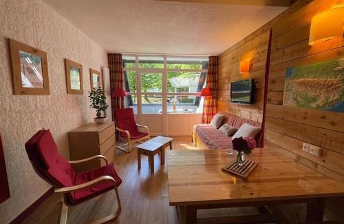 Saint-Lary-Soulan Appartement | T2 classé 3 étoiles coeur de village et Piscine ext