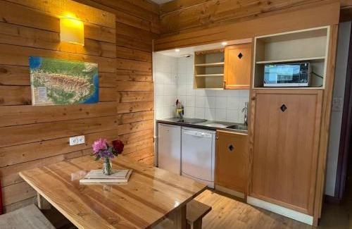 Saint-Lary-Soulan Appartement | T2 classé 3 étoiles coeur de village et Piscine ext