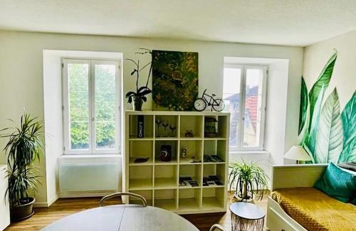 La Roche-sur-Foron Appartement | T2 Cozy au Centre 4 Personnes RochExpo Train Express Annecy Genève Evian