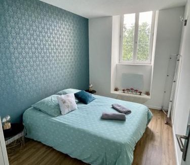 La Roche-sur-Foron Appartement | T2 Cozy au Centre 4 Personnes RochExpo Train Express Annecy Genève Evian