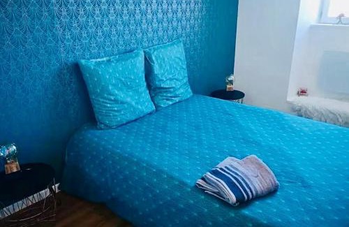 La Roche-sur-Foron Appartement | T2 Cozy au Centre 4 Personnes RochExpo Train Express Annecy Genève Evian