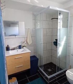 Les Anses-d'Arlets Appartement | T2 Entièrement NEUF L'Escale du Désert