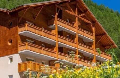 Allos Appartement | T2 montagne cosi pied des pistes- piscine hammam
