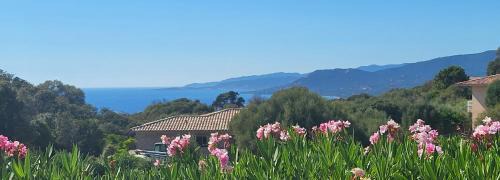 Viggianello Appartement | T2 Propriano vue mer, neuf, climatisé et classé 3 étoiles