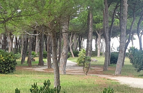 Plage d'Argeles Appartement | T2 bord de mer Argelès