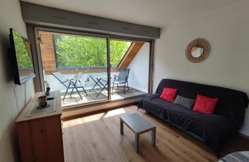 Saint-Lary-Soulan Appartement | T2 spacieux et lumineux avec 2 terrasses Sud et Est, proche centre village