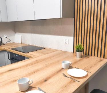 Brzesko Appartement | Tabago Studio 35 Brzesko Błękitna