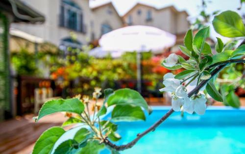 Taean Maison | Taean like the first time pension
