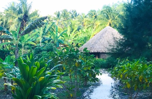 Taha'a Maison | TAHAA - Motu Lodge Moana