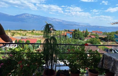 Udenisht Villa | Taku Villa Wonderful view of Lake Ohrid
