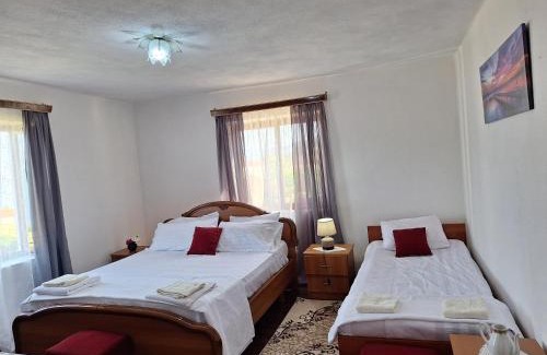 Udenisht Villa | Taku Villa Wonderful view of Lake Ohrid