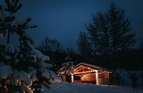 Viseu de Sus Maison | Talhaus