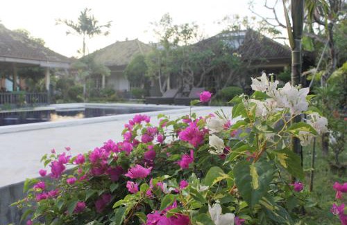 Lovina Hôtel | Taman Lily's Hotel