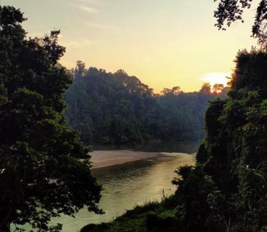 Kuala Tahan Maison | Tamu Rimba Taman Negara