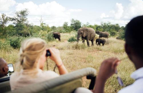 Kruger National Park Cabine | Tanda Tula Safari Camp