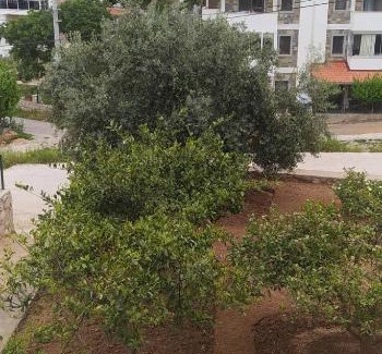 Datca City Center Appartement | Taner Apart