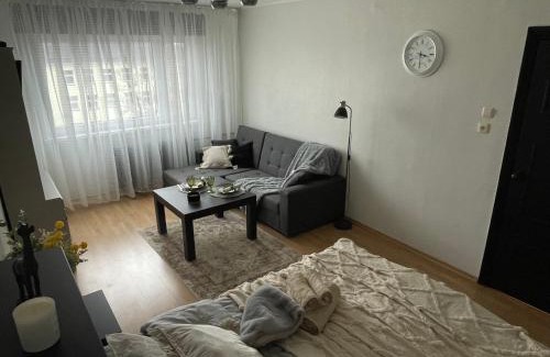 Tapa Appartement | Tapa Guest Apartment