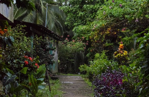 Pital Cabine | Tapir Lodge