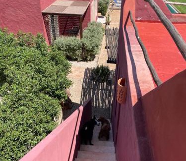 Ghazoua Maison | TARGANINE Lodge