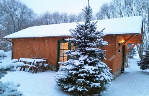 Liptovsky Mikulas Chalet De Ski | Tatralandia Chatka SnoWiki