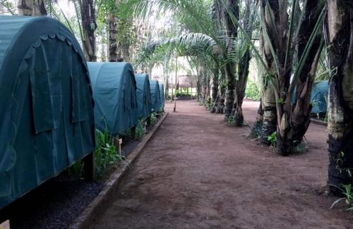 Taro Location De VR | Tegal Dukuh Camp