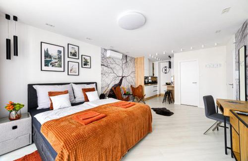Gyor Appartement | TELEKI40 Apartman Győr CENTRAL, FREE PARKING, TERRACE