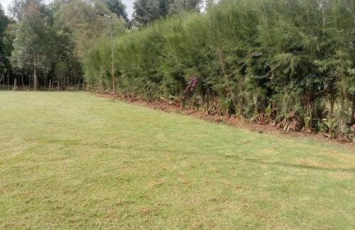Eldoret Hôtel | Tembo Lodge Eldoret