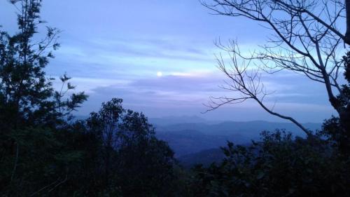 Udumbanchola Autre | Tent Camping at Ealakka Farm Stay
