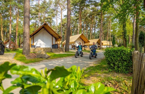 Zutendaal Maison | Tienda lodge con baño, Maastricht a 16 km.