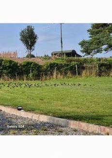 County Laois Autre | Tent space on grass showers & toilet inside