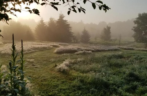 East Meredith Autre | Tentrr Signature - Pastoral Paths at Little Farm Too