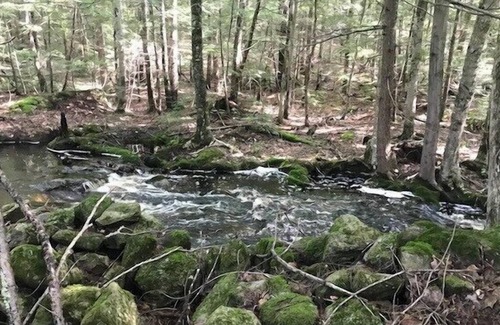 Lyndeborough Location De VR | Tentrr - Wally Meadows à Purgatory Falls