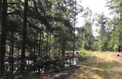 Lyndeborough Location De VR | Tentrr - Wally Meadows à Purgatory Falls