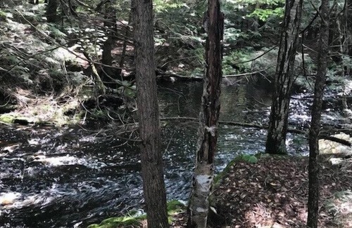 Lyndeborough Location De VR | Tentrr - Wally Meadows à Purgatory Falls