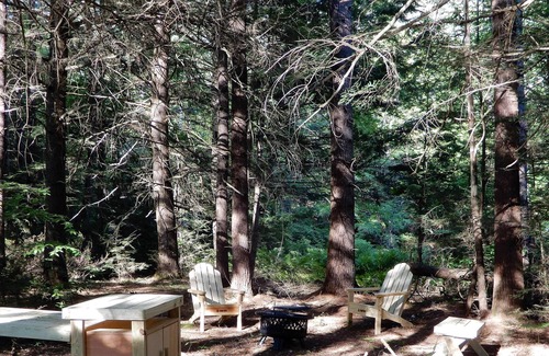 Lyndeborough Location De VR | Tentrr Signature Site - The Bubbling Brook