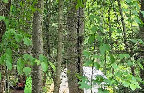 Tower City Location De VR | Tentrr Signature Site - Mountain Laurel Retreat