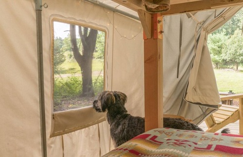 South Berwick Location De VR | Tentrr Signature Site - Baker's Spring Horse Camp