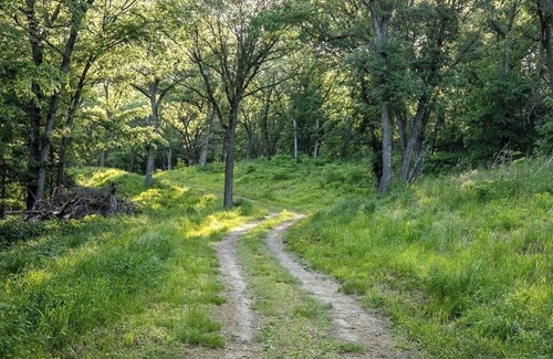 Thurston County Location De VR | Tentrr Signature Site - Hackberry Campsite 2