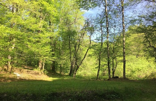 Hancock Location De VR | Tentrr - Sands Creek Camp