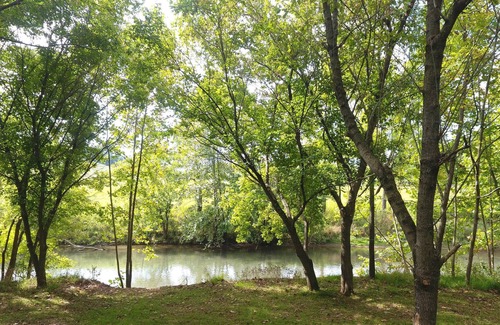 Staunton Location De VR | Tentrr - Honeysuckle Hideaway