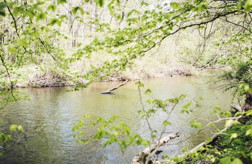 Earlville Location De VR | Tentrr - Creekside Woods Getaway