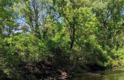 Honeoye Falls Location De VR | Tentrr Signature Site - Fern Gully