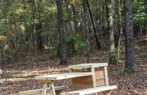 Morton Location De VR | Tentrr State Park Site - Mississippi Roosevelt State Park - Tall Trees A - Sing