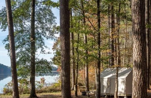 Morton Location De VR | Tentrr State Park Site - Mississippi Roosevelt State Park - Shadow Lake E - Sing