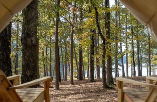 Morton Location De VR | Tentrr State Park Site - Mississippi Roosevelt State Park - Tall Trees H - Singl